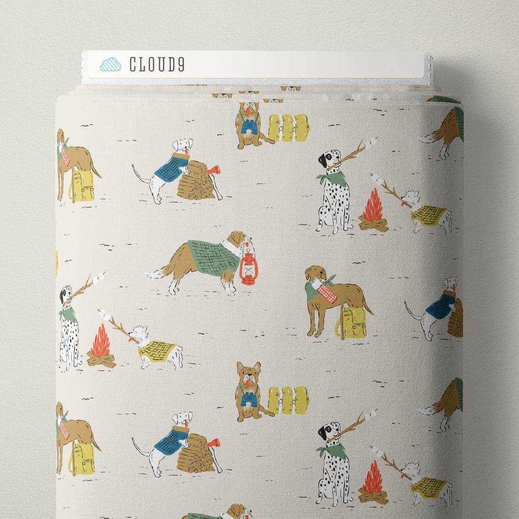 Cloud9 Fabrics