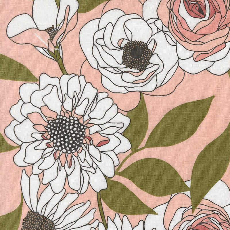 Cabbage Rose in Peony | Botany