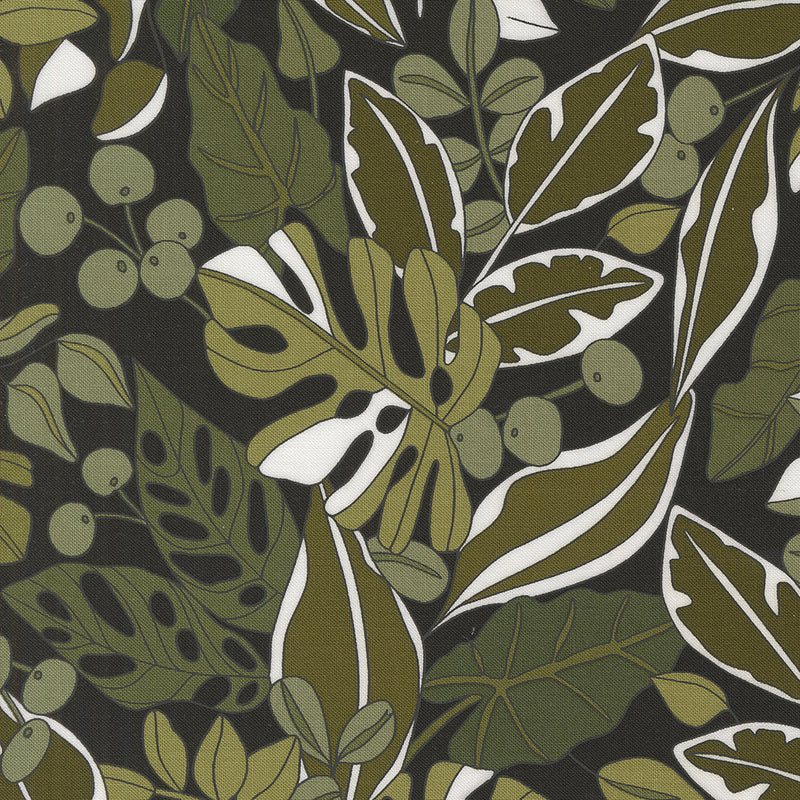 *Coming Soon*  Greenery in Ink | Botany