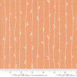 Leather Bound Book in Peach | Rainier