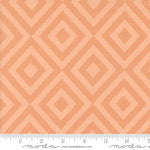 Glacier Peak in Peach | Rainier