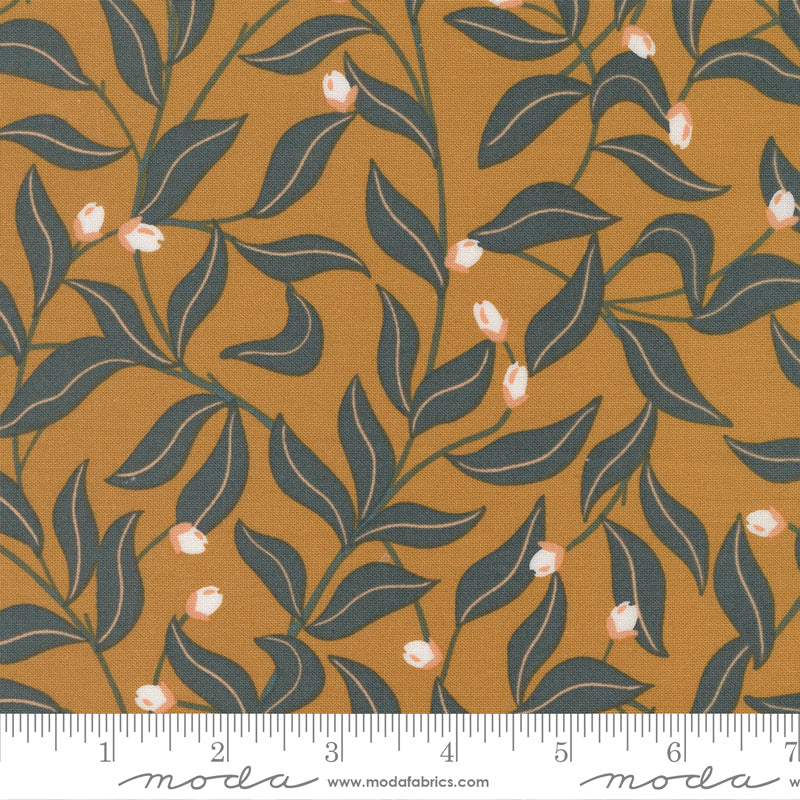 ** Coming Soon ** Berry Good in Honey | Peachy