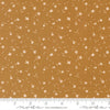 ** Coming Soon ** Peach Blossom in Honey | Peachy
