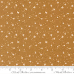 ** Coming Soon ** Peach Blossom in Honey | Peachy