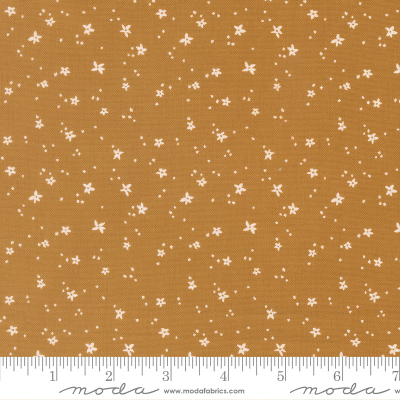 ** Coming Soon ** Peach Blossom in Honey | Peachy