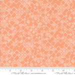 * Coming Soon *  Fractured Weave in Peach | Foraged, Found, & Hand Me Down