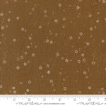 Stardust in Cocoa | Foraged, Found, & Hand Me Down