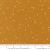 * Coming Soon *  Stardust in Caramel | Foraged, Found, & Hand Me Down