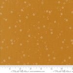 * Coming Soon *  Stardust in Caramel | Foraged, Found, & Hand Me Down