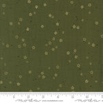 * Coming Soon *  Stardust in Pine | Foraged, Found, & Hand Me Down