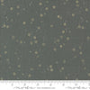 * Coming Soon *  Stardust in Metal | Foraged, Found, & Hand Me Down