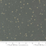 * Coming Soon *  Stardust in Metal | Foraged, Found, & Hand Me Down