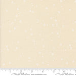 * Coming Soon *  Stardust in Eggshell White | Foraged, Found, & Hand Me Down