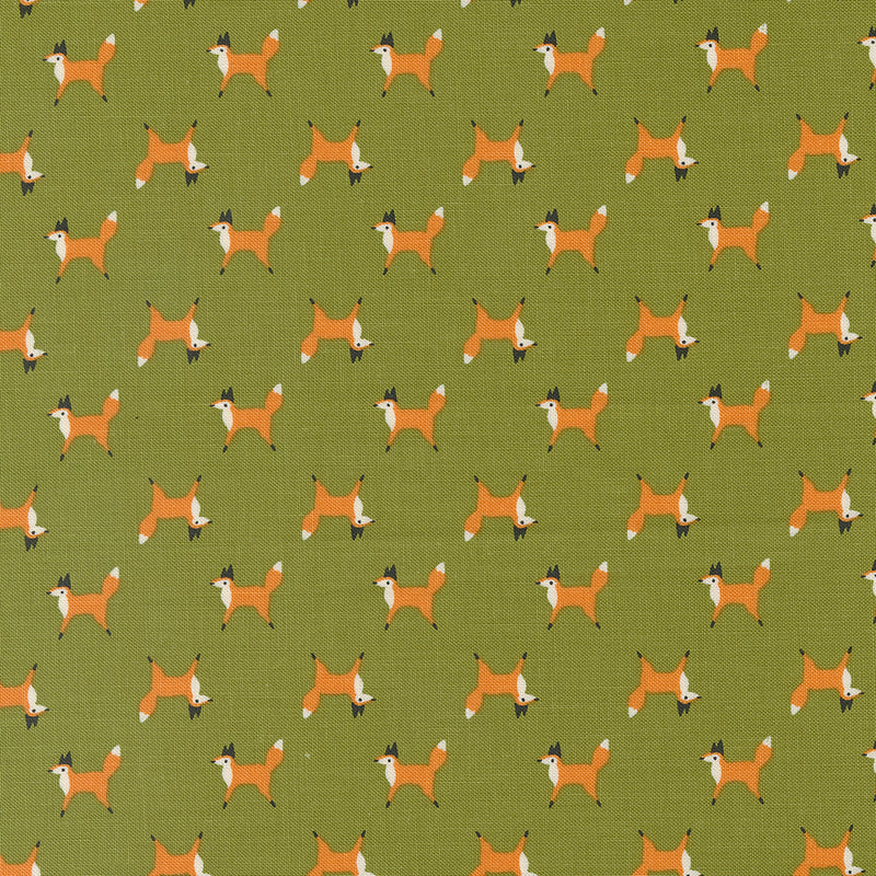 Fox Trot in Fern | Woodland Wonder