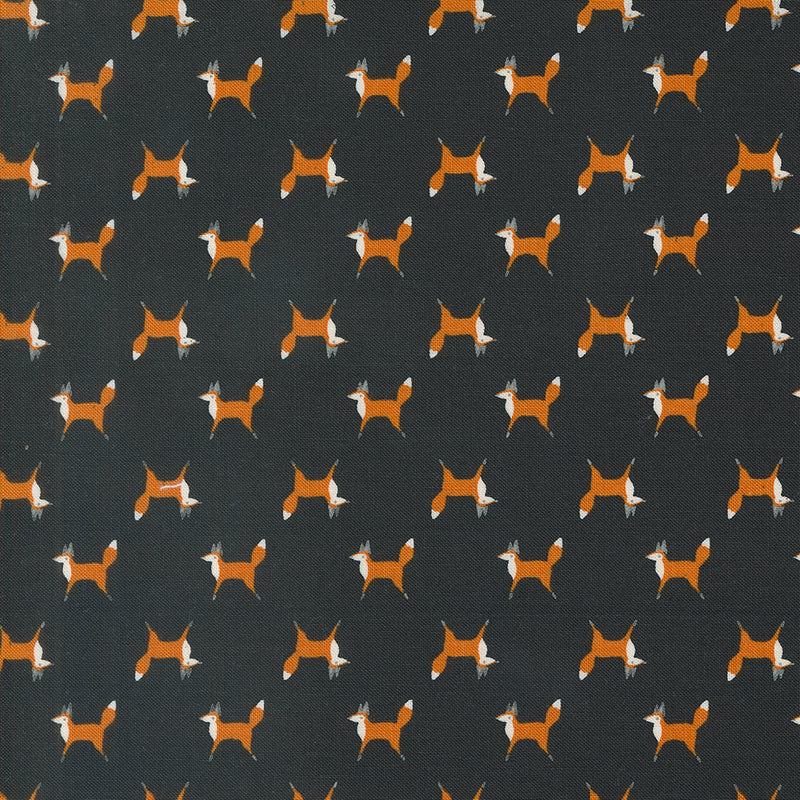 Fox Trot in Midnight | Woodland Wonder