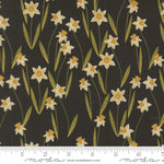 Darling Daffodils in Metallic Black | Bee Garden