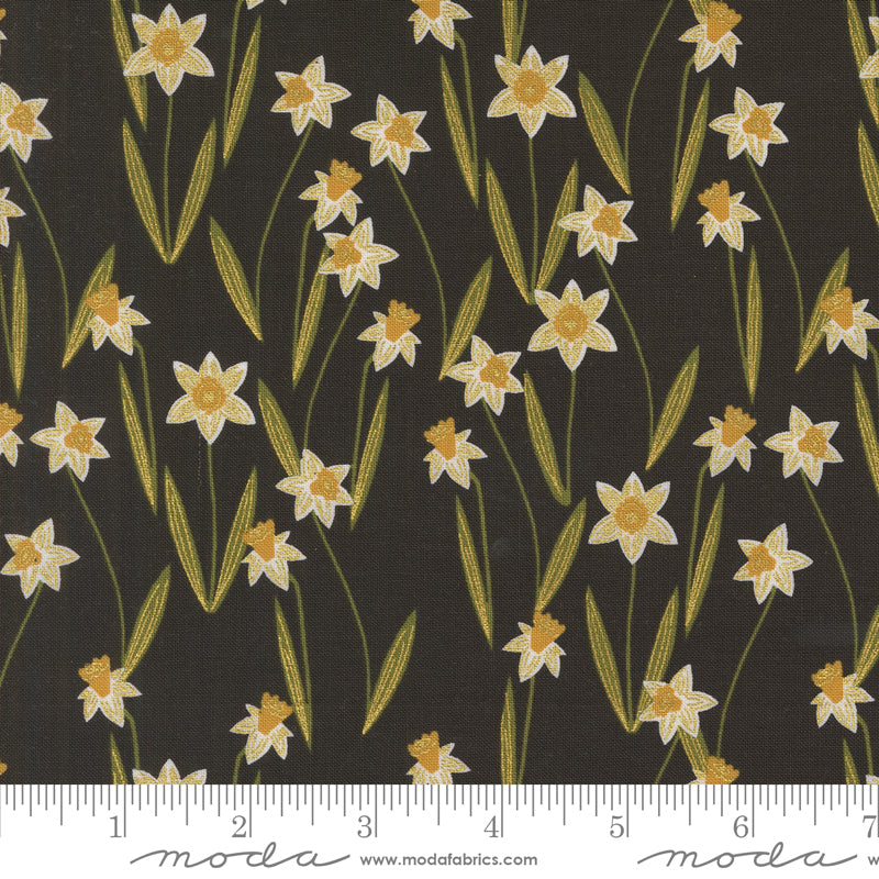 Darling Daffodils in Metallic Black | Bee Garden