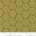 Honeycomb in Metallic Ivy | Bee Garden