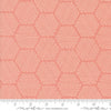 Honeycomb in Carnation | Bee Garden