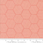 Honeycomb in Carnation | Bee Garden