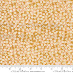 Floral Phase in Beeswax | Bee Garden