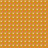 Gingham in Orche | Joyful June