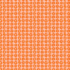 Blooms in Orange | Joyful June