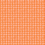 Blooms in Orange | Joyful June