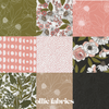 Botany | Jelly Roll