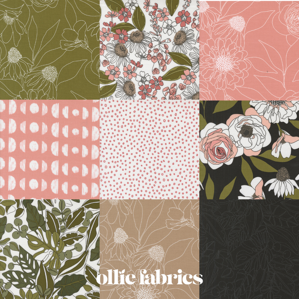 Botany | Jelly Roll