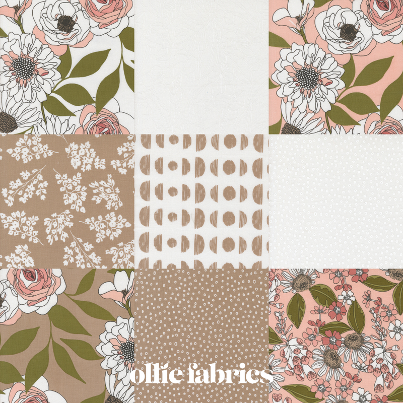Botany | Jelly Roll