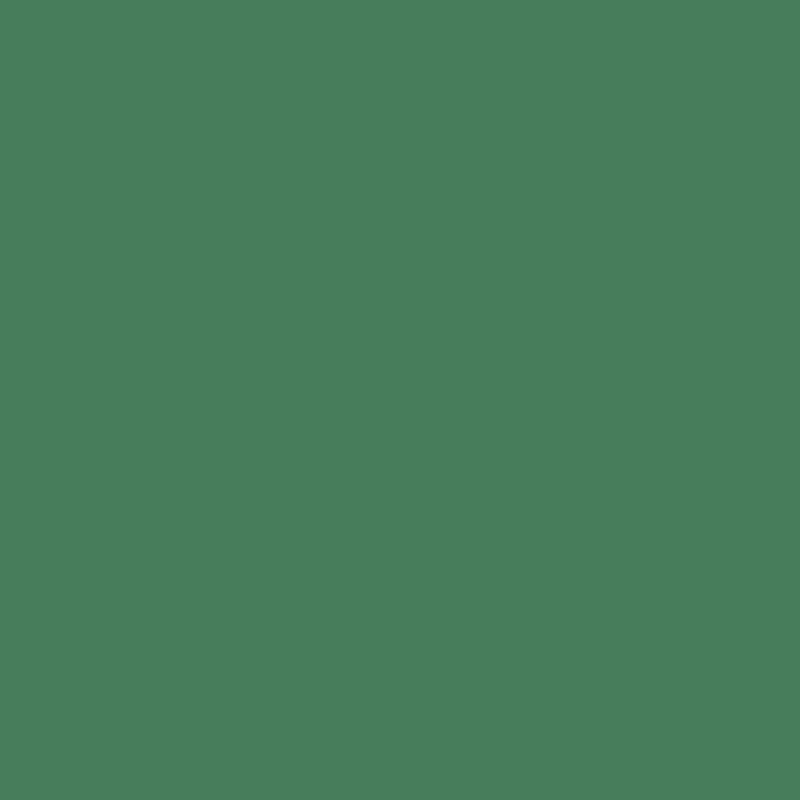Cactus | Confetti Cottons