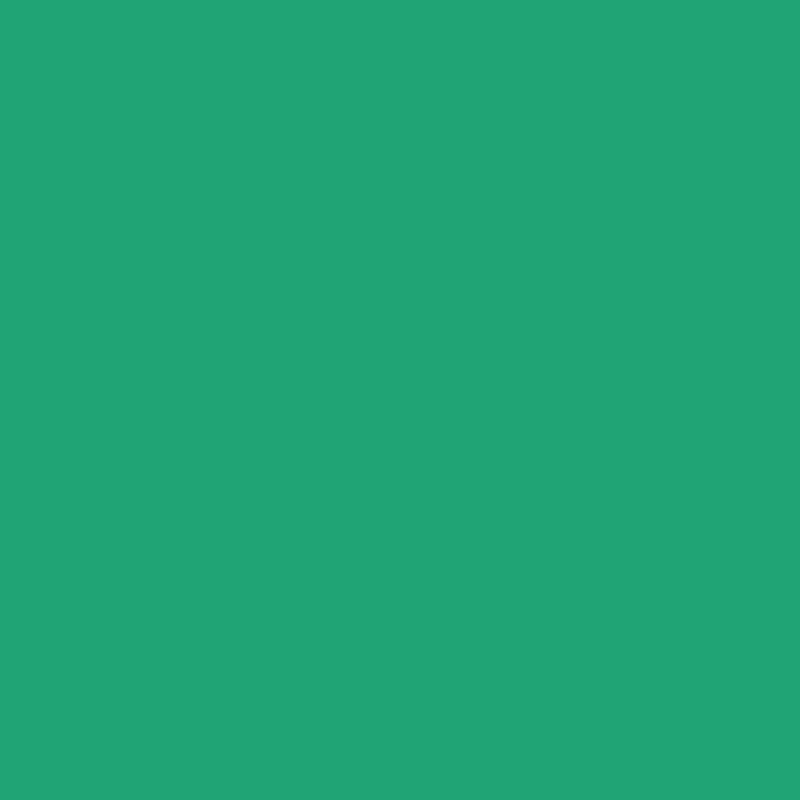 Shamrock | Confetti Cottons