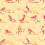 The Dawn Chorus Sunset | Marigold