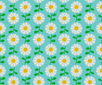 Field of Flowers in Turquoise | Flowerland