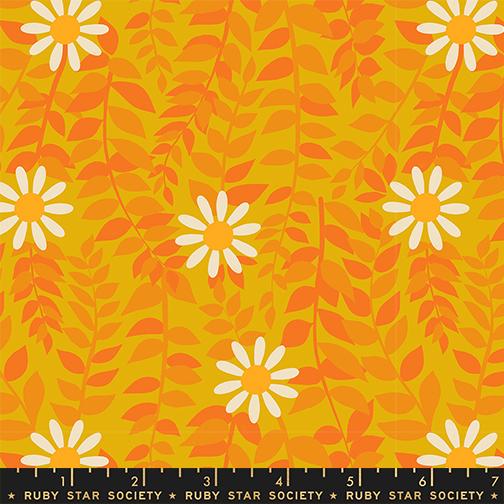 Flowerland: Daisies in Goldenrod Flowerland: Daisies in Goldenrod