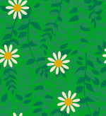 Daisies in Verdant | Flowerland