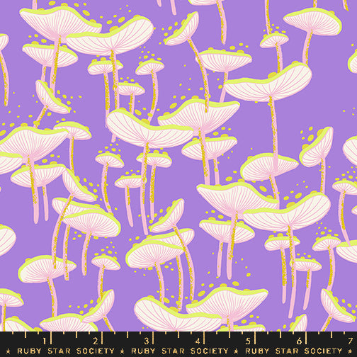 *Coming Soon*  Fungi in Amethyst | Glow Garden