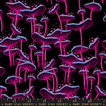 Fungi in Black | Glow Garden