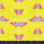 Morning Moth in Citron | Glow Garden