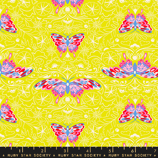 *Coming Soon*  Morning Moth in Citron | Glow Garden