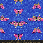 Morning Moth in Blacklight | Glow Garden