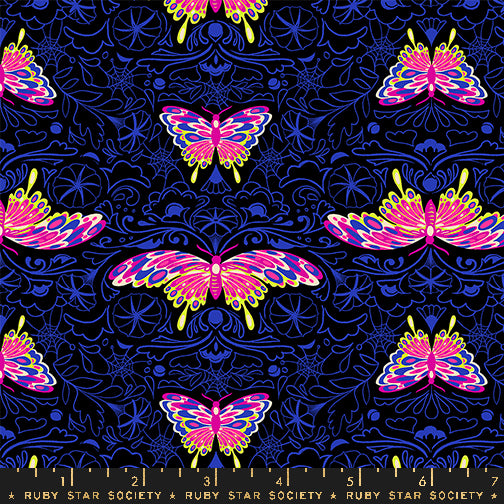 *Coming Soon*  Morning Moth in Black | Glow Garden