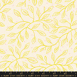 Wandering Vine in Natural | Glow Garden