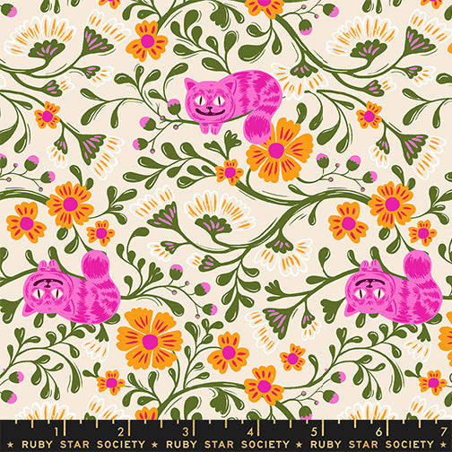 ** Coming Soon ** Cheshire in Shell | Hello Alice