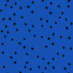 Starry in Blue Ribbon | Starry