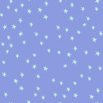 Starry in Dusk | Starry
