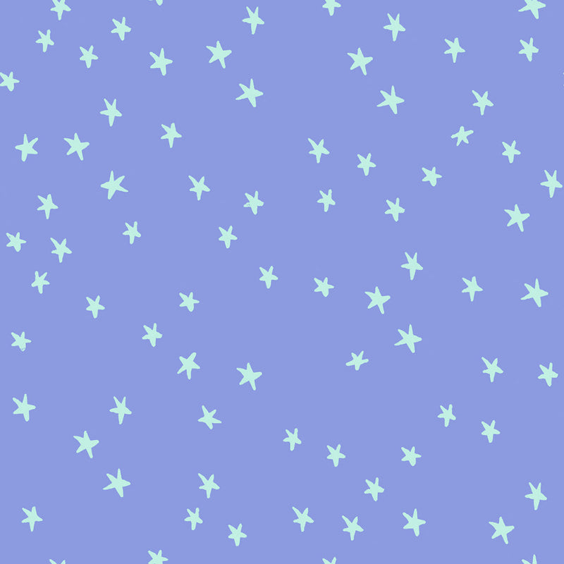 Starry in Dusk | Starry