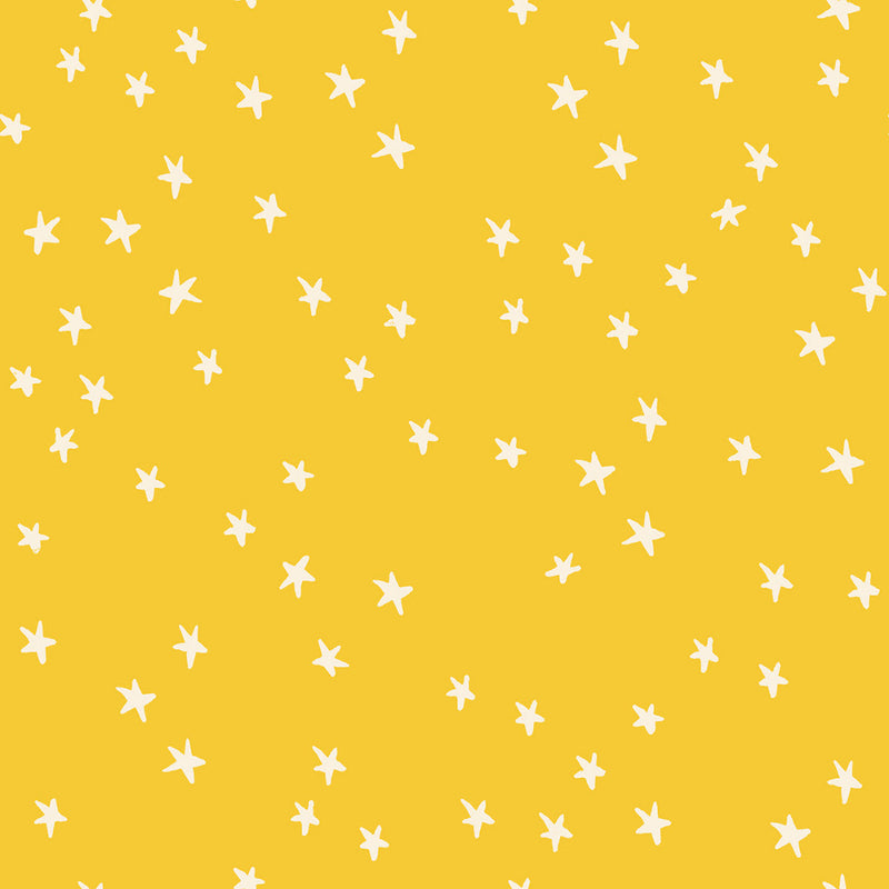 Starry in Sunshine | Starry