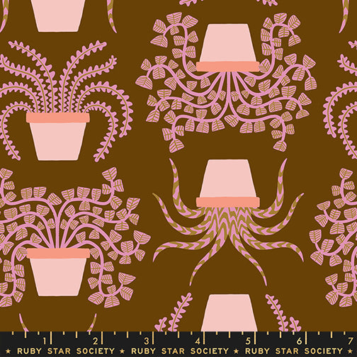 ** Coming Soon ** Planties in Cocoa | Calathea